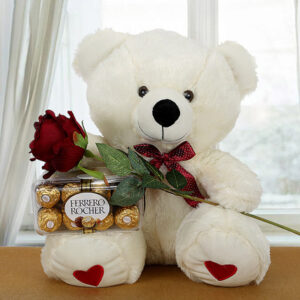 teddy day gift