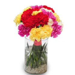 Sweet Carnations