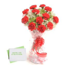 Carnations N Greeting Card