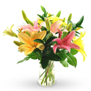 mix color Asiatic 4 lilies perfectly arranged in glass vase