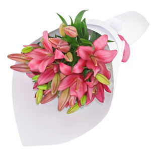 Bunch of 6 Pink Lilies